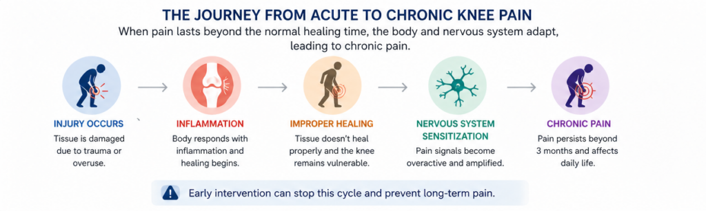 diagram showing how knee pain becomes chronic from injury through inflammation improper healing and nerve sensitization